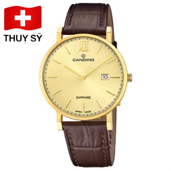 Độ Phai Màu Dây Đồng Hồ Daniel Wellington: Nguyên Nhân, Dấu Hiệu và Giải Pháp Toàn Diện Độ Phai Màu Dây Đồng Hồ Daniel Wellington: Nguyên Nhân, Dấu Hiệu và Giải Pháp Toàn Diện
