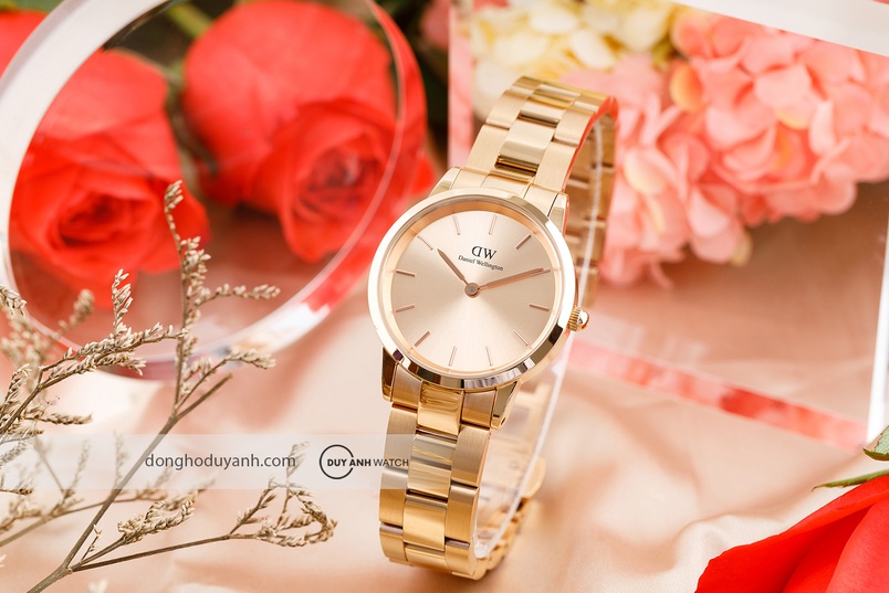 Bao Đựng Đồng Hồ Daniel Wellington (DW): Phụ Kiện Tối Ưu Bảo Vệ Phong Cách Của Bạn