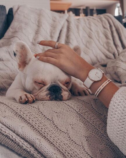 Đồng hồ DW dây vải Petite Dover 32mm màu trắng thanh lịch với viền vàng hồng nổi bật
