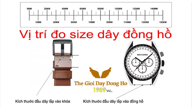 Kích Thước Dây Đồng Hồ Daniel Wellington: Hướng Dẫn Toàn Diện Để Chọn Dây Hoàn Hảo