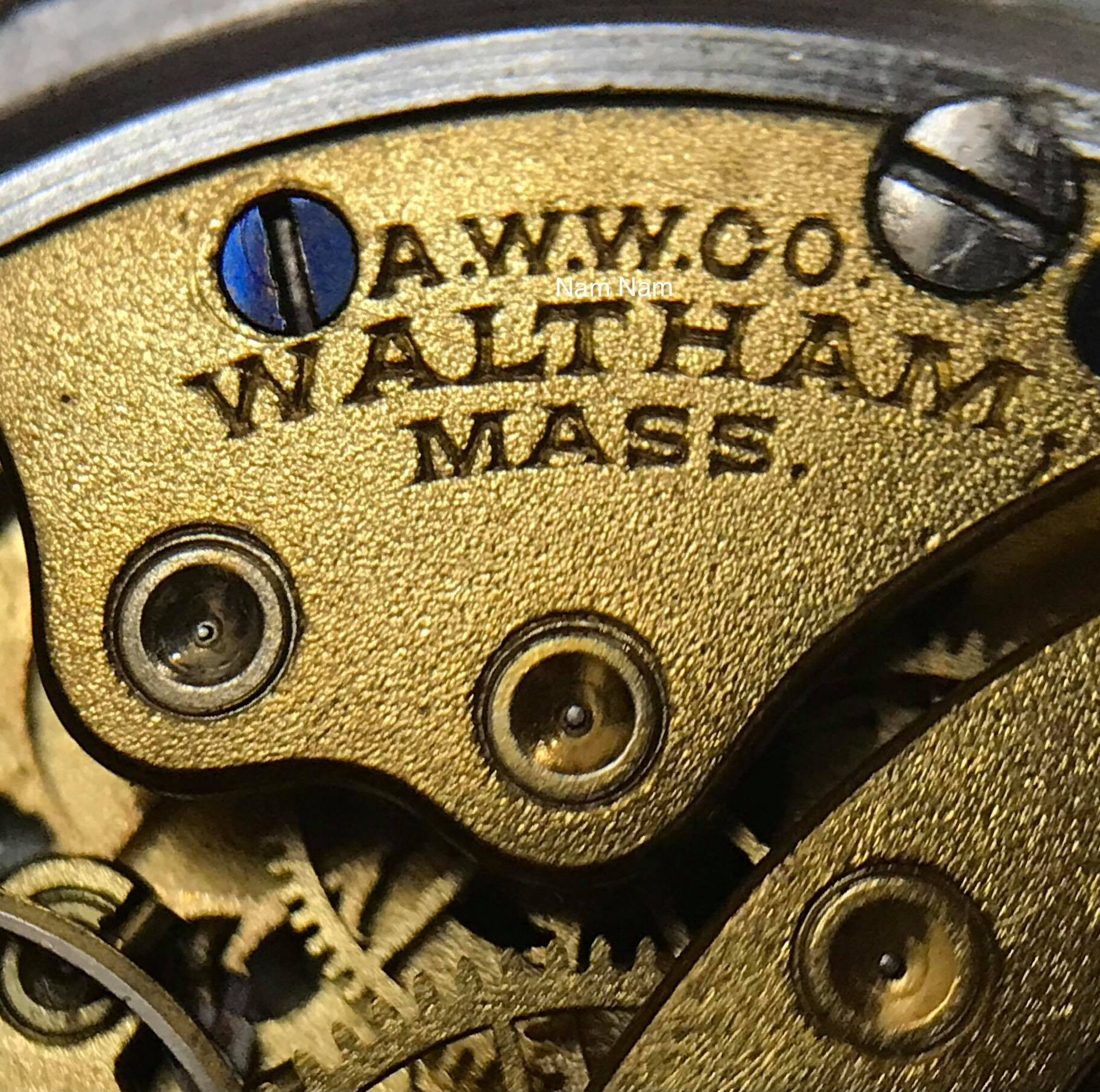 Logo American Waltham Watch Company trên đồng hồ đeo tay cổ