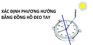 Hướng Dẫn Chi Tiết Cách Xác Định Phương Hướng Bằng Đồng Hồ Đeo Tay