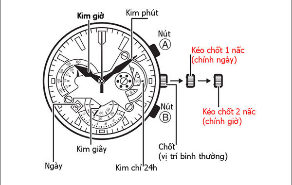 Cách sửa kim đồng hồ đeo tay bị lệch