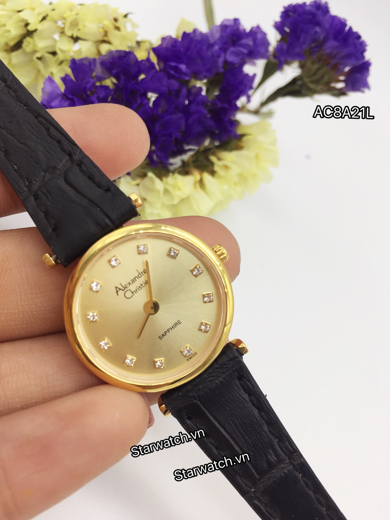 Giá Đồng Hồ Alexandre Christie Nữ: Hướng Dẫn Mua Sắm Thông Minh