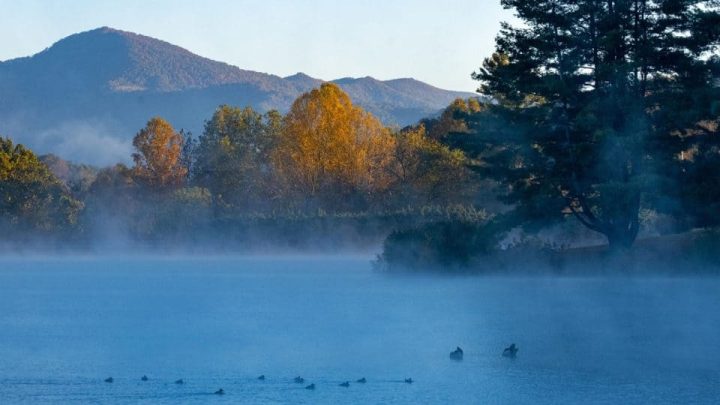 Trung tâm bảo hành đồng hồ Sunrise: Hướng dẫn chi tiết từ A đến Z