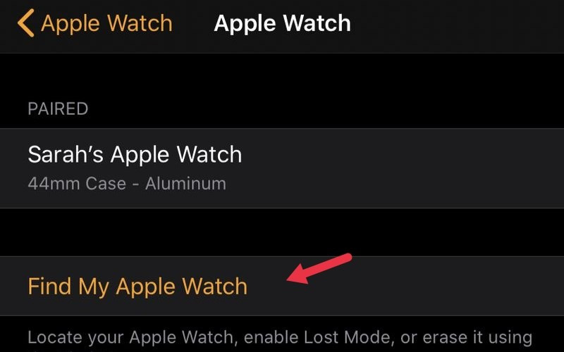 Truy cập Find My Watch để kiểm tra vị trí cuối cùng