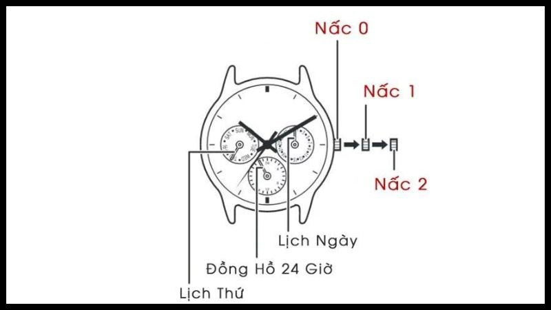 Rút nút chỉnh ra 1 nấc để chỉnh lịch ngày và lịch thứ