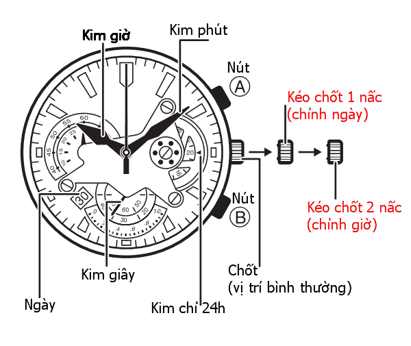 Cách Chỉnh Ngày Đồng Hồ Casio Edifice WR100M Chuẩn Xác: Hướng Dẫn Chi Tiết Và Mẹo Bảo Quản