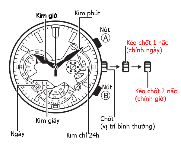 Nên Chỉnh Đồng Hồ Cơ Vào Thời Gian Nào Để Tránh Hư Hỏng Bộ Máy?