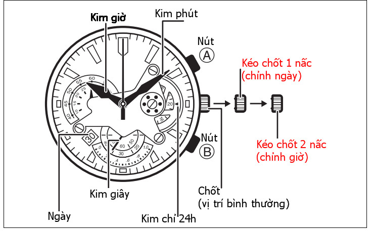 Cách chỉnh giờ đồng hồ cơ 6 kim có chức năng Chronograph