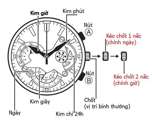 Vùng an toàn và vùng nguy hiểm khi điều chỉnh lịch thứ ngày trên đồng hồ đeo tay cơ.