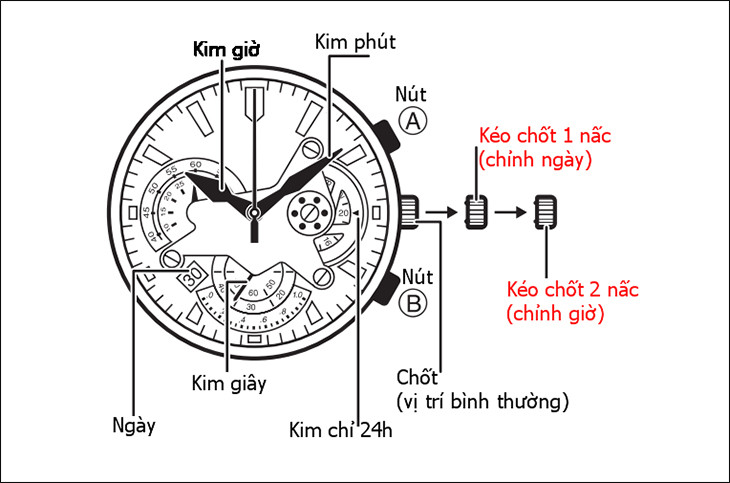 Các bước điều chỉnh giờ và phút cho đồng hồ 6 kim 3 nút