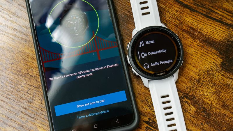 Đồng hồ thông minh Garmin