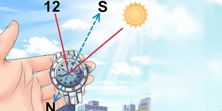 Hướng Dẫn Chi Tiết Cách Xác Định Phương Hướng Bằng Đồng Hồ Đeo Tay