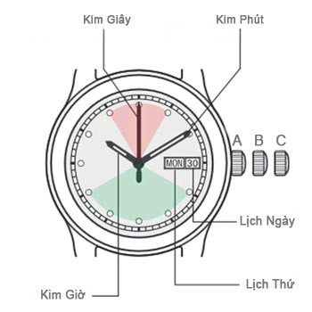 Sơ đồ các vị trí núm điều chỉnh (crown) trên đồng hồ cơ để cài đặt lịch thứ và ngày.