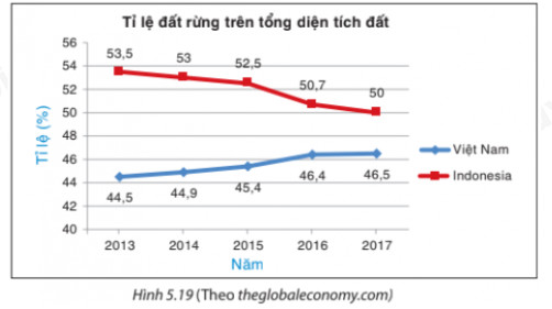Biểu đồ đường kép so sánh diện tích đất rừng, hình ảnh minh họa so sánh hiệu suất hoặc quy mô của các công ty đồng hồ.