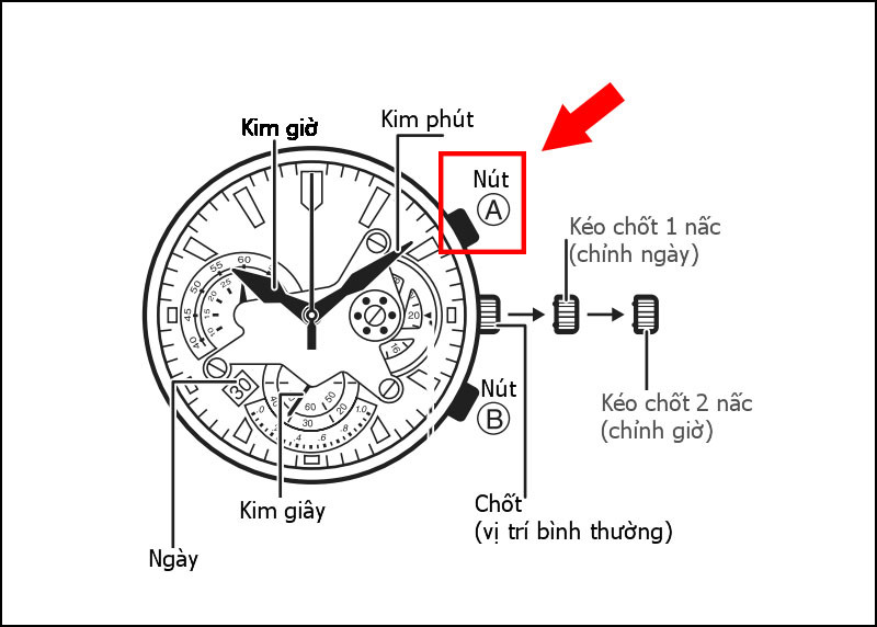 Nhấn nút A để khởi động Chronograph