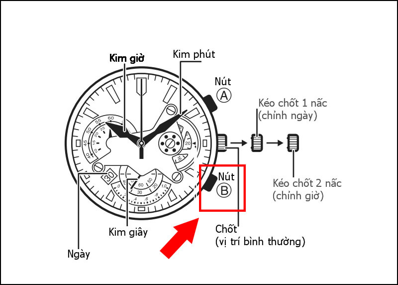 Nhấn nút B để reset Chronograph
