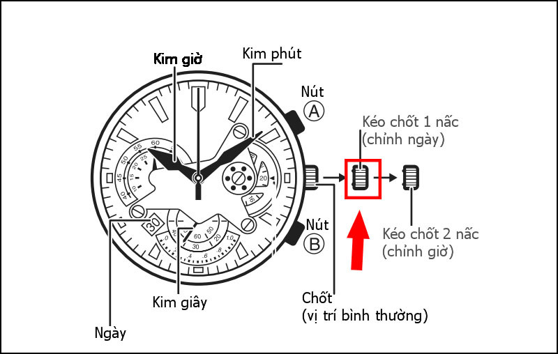 Thao tác kéo núm chỉnh ra 1 nấc để chỉnh ngày