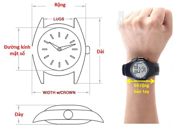Kích Thước Vỏ Đồng Hồ Là Gì? Hướng Dẫn Chi Tiết Để Chọn Đồng Hồ Hoàn Hảo Cho Cổ Tay Của Bạn