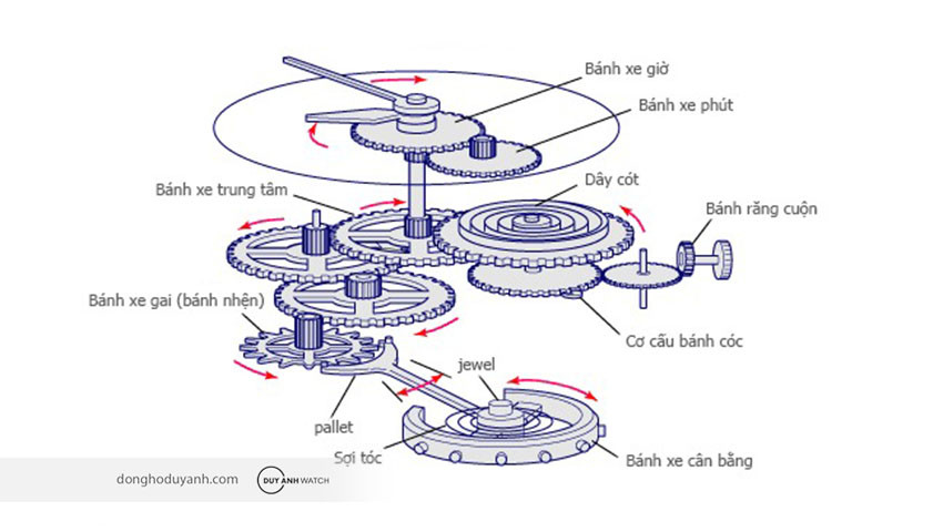 Sơ đồ cơ chế hoạt động phức tạp bên trong đồng hồ cơ tự động, minh họa chi tiết trước khi mua đồng hồ lên dây cót