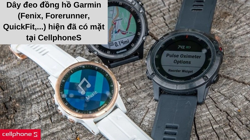 Dây đeo đồng hồ thể thao Garmin bền bỉ, tìm hiểu giá dây đồng hồ Apple Watch để lựa chọn phù hợp.