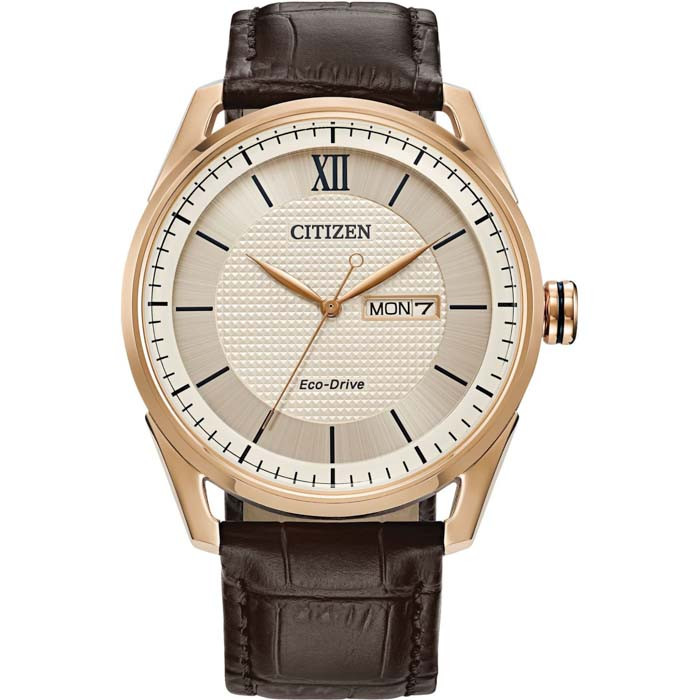 Đồng hồ Citizen WR100 cho nam