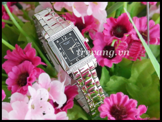 Đồng hồ nữ Casio Sheen SHN-4016D-1AVc, thương hiệu phổ biến như đồng hồ nam đẹp