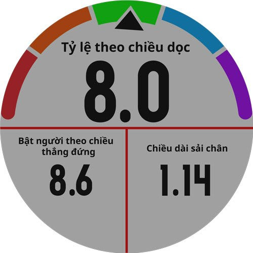 Đồng hồ thông minh thể thao Garmin fēnix 5S kết nối với dây đo nhịp tim đeo ngực để đo lường chuyên sâu