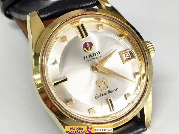 Hộp đựng đồng hồ Rado Golden Horse cao cấp, thể hiện sự sang trọng và giá trị của sản phẩm khi mua hàng chính hãng.