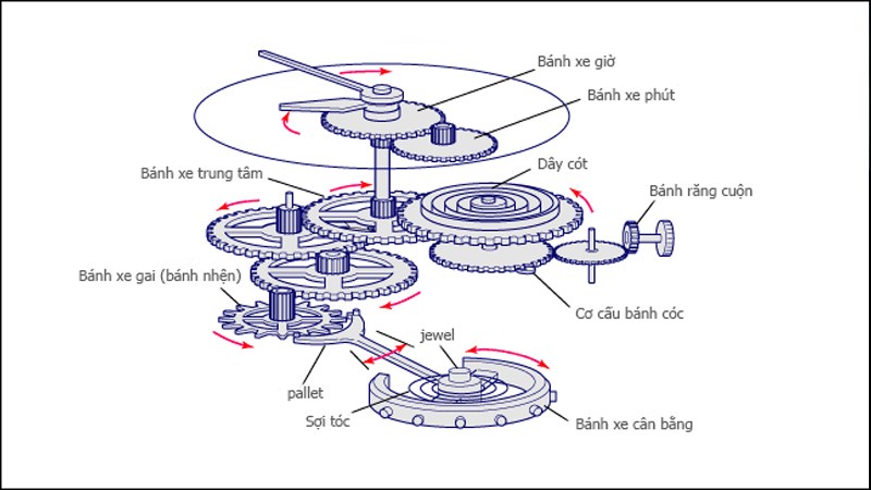 Khám Phá Từng Thứ Trên Đồng Hồ Đeo Tay: Từ A Đến Z Về Cấu Tạo Và Chức Năng