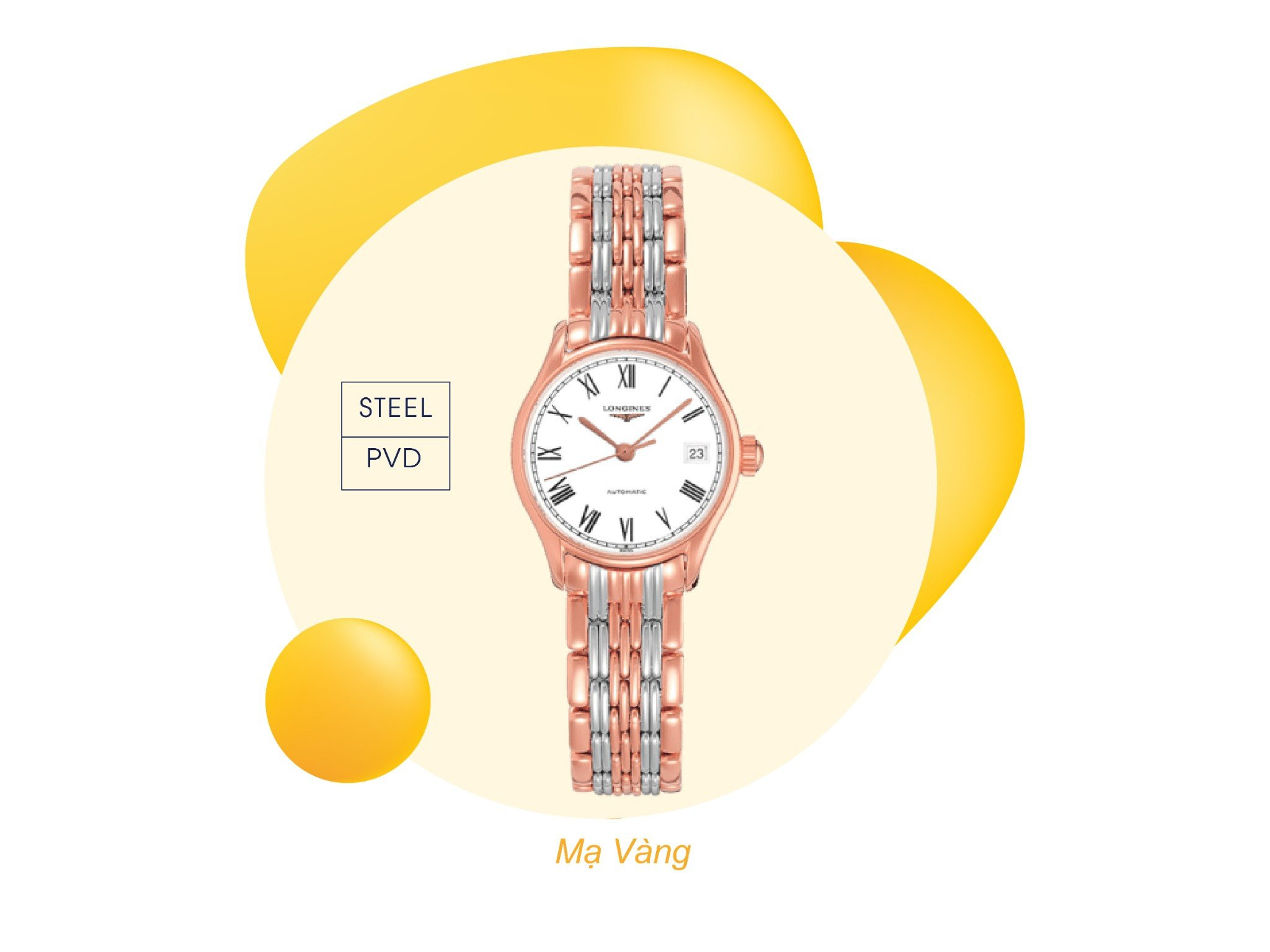 Ký hiệu "steel/PVD" trên đồng hồ, dấu hiệu giúp cách nhận biết đồng hồ mạ vàng