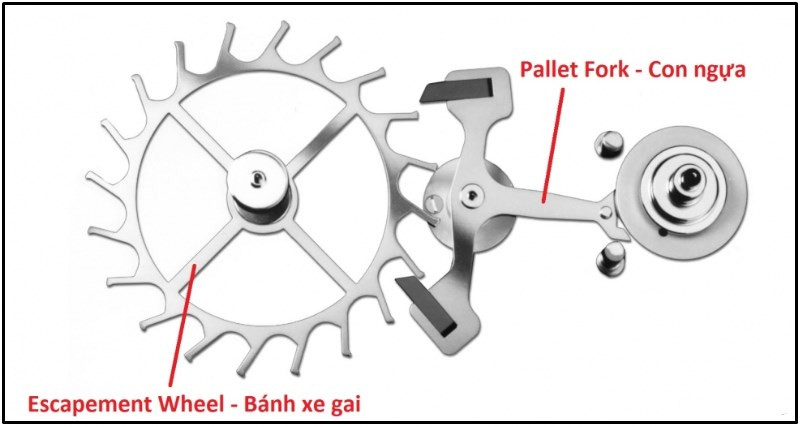 Bộ thoát đồng hồ, một hệ thống phức tạp khi tìm hiểu về đồng hồ đeo tay cơ