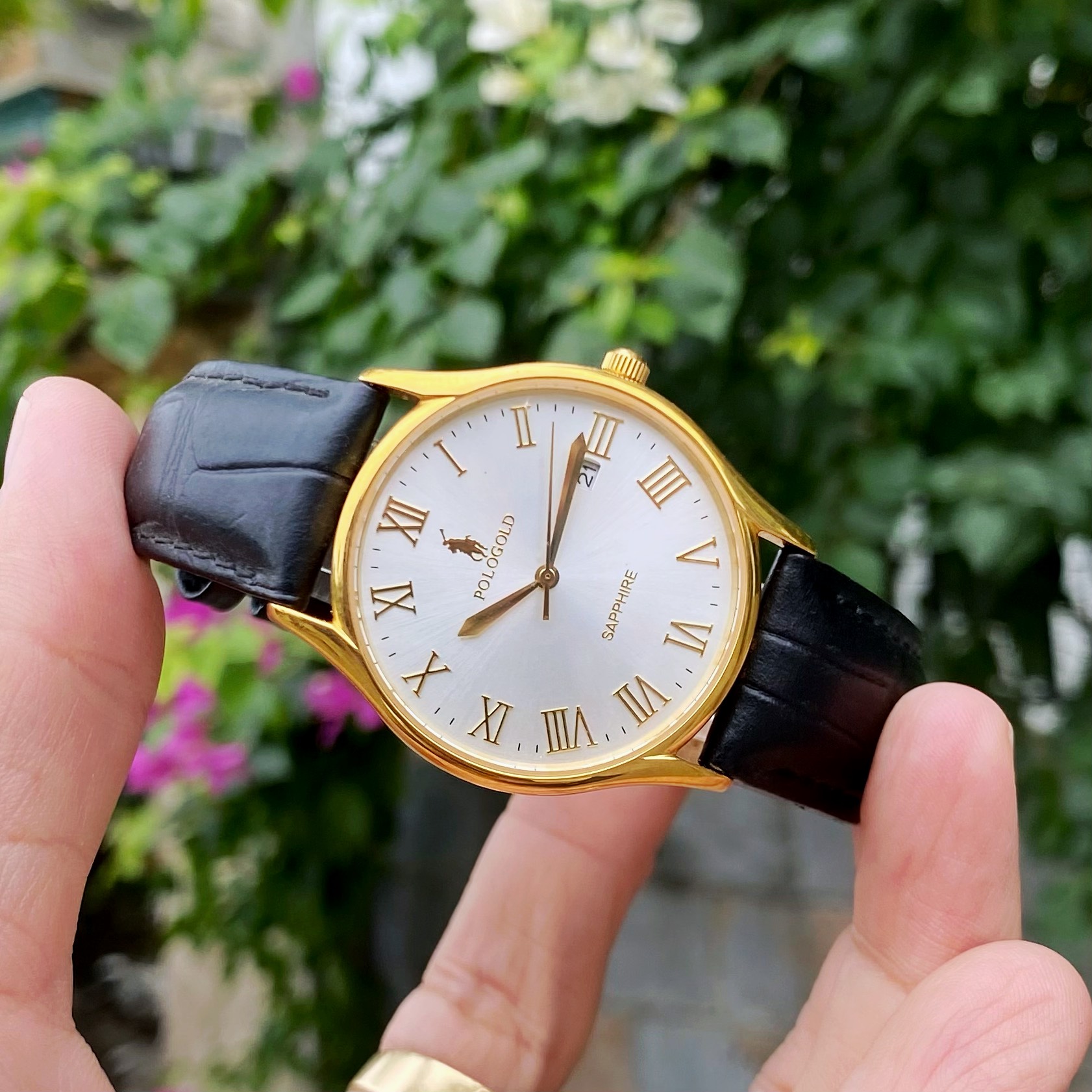 Đồng Hồ Polo Gold Sapphire Nữ: Tuyên Ngôn Sang Trọng Cho Phái Đẹp Hiện Đại