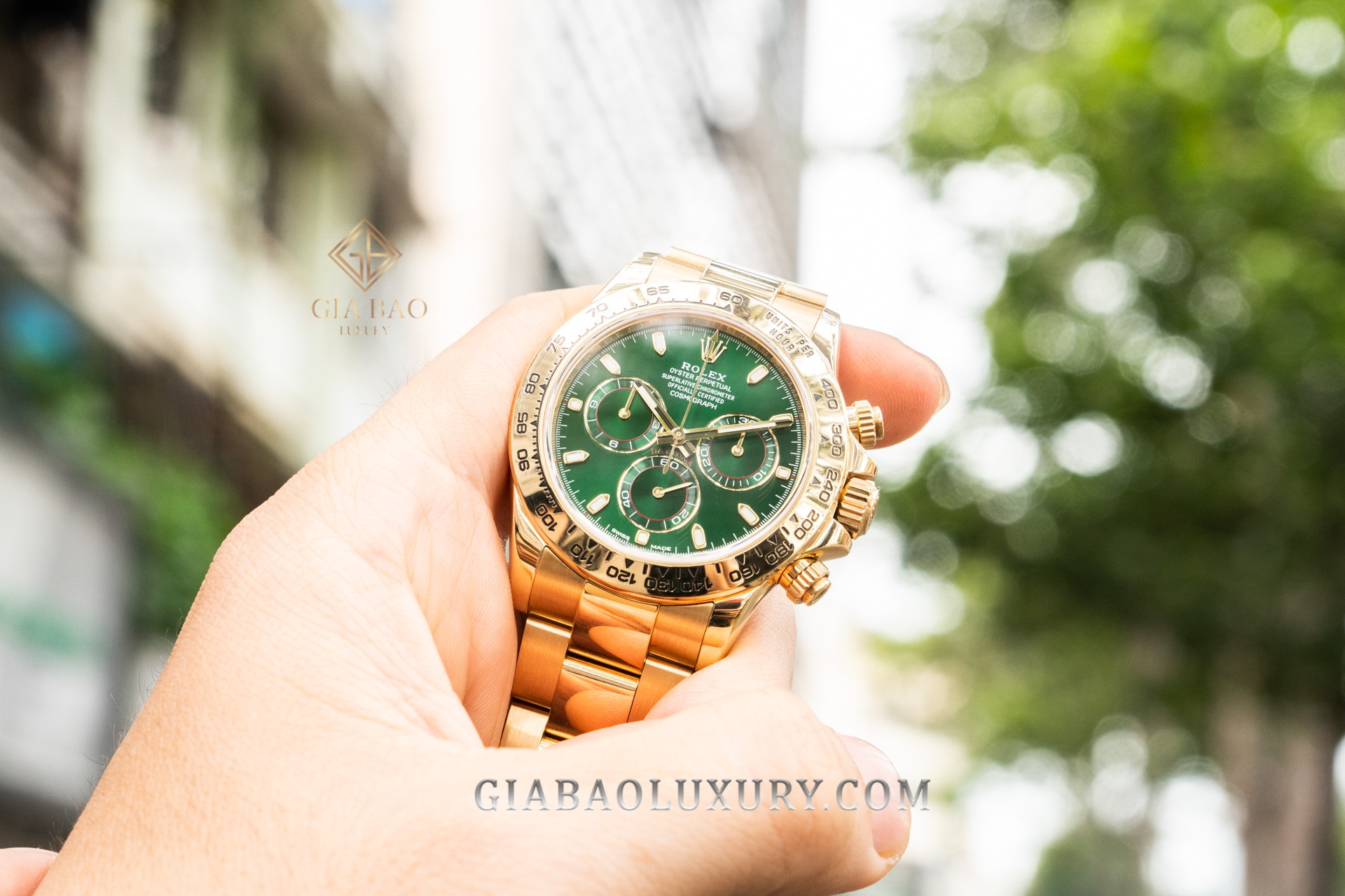 Giá Đồng Hồ Rolex Cosmograph Daytona 116508 Mặt Số Xanh Lá: Từ "Ế Hàng" Đến Biểu Tượng Được Săn Lùng