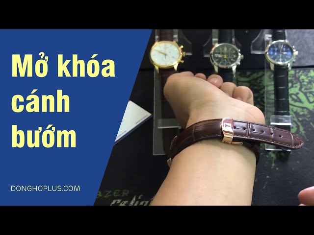 Khóa Bướm Đồng Hồ Đeo Tay: Hướng Dẫn Toàn Diện Từ Cấu Tạo Đến Cách Phân Biệt Hàng Chuẩn