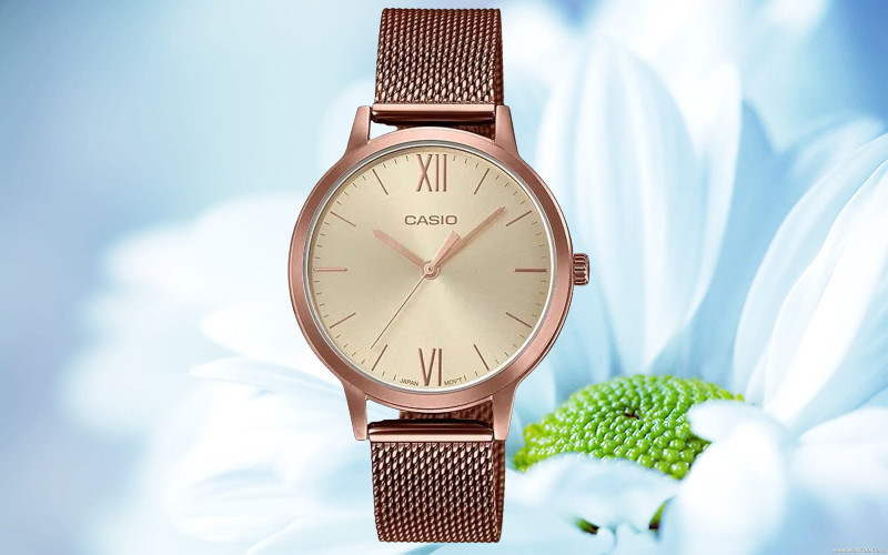 Đồng hồ Casio mặt tròn cho nữ màu vàng đồng chủ đạo, sang trọng
