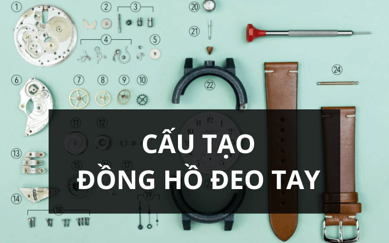 Khám Phá Từng Thứ Trên Đồng Hồ Đeo Tay: Từ A Đến Z Về Cấu Tạo Và Chức Năng