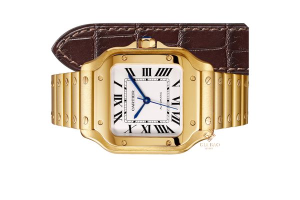 Đồng Hồ Cartier Của Nước Nào? Khám Phá Nguồn Gốc và Đẳng Cấp Thụy Sĩ