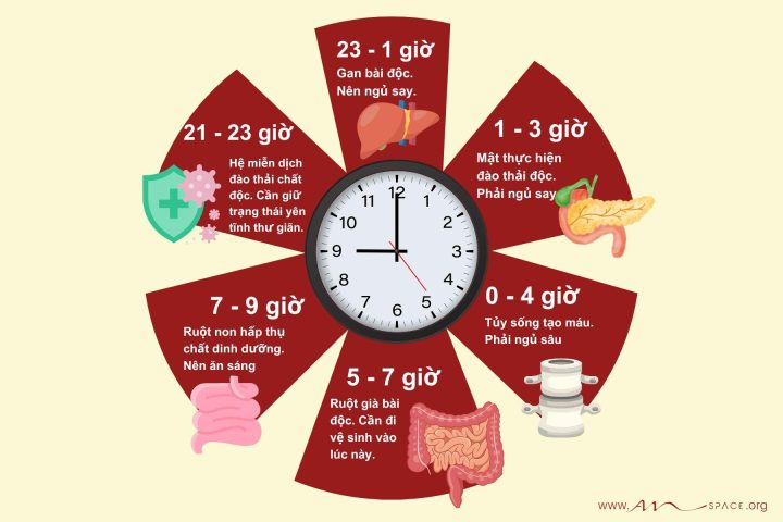 Đồng hồ cơ: Khám phá cơ chế vận hành tinh xảo và vẻ đẹp trường tồn