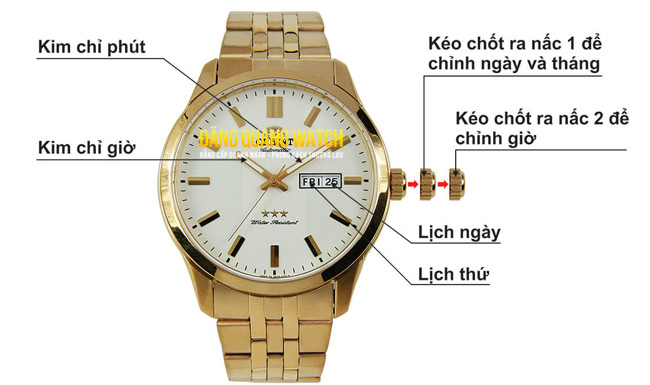 Nên Mua Đồng Hồ Đeo Tay Loại Nào? Hướng Dẫn Chọn Mua Đồng Hồ Ưng Ý Và Phù Hợp