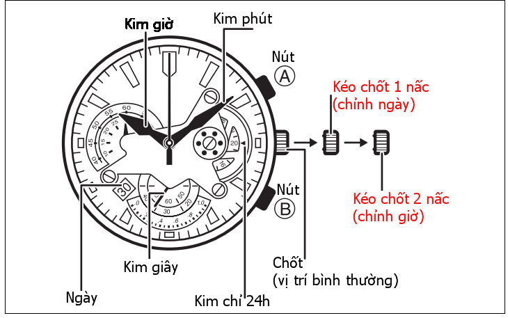 Cách Chỉnh Ngày Trên Đồng Hồ Kim Chuẩn Xác Từ A Đến Z