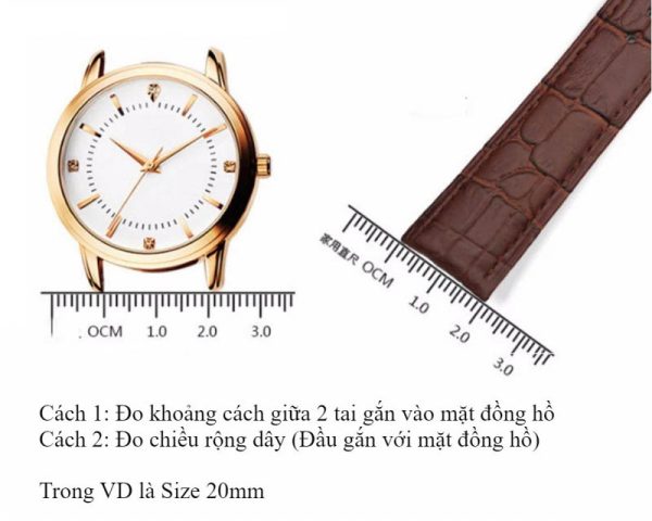 Các loại size dây đồng hồ: Hướng dẫn chi tiết cách đo và chọn lựa hoàn hảo