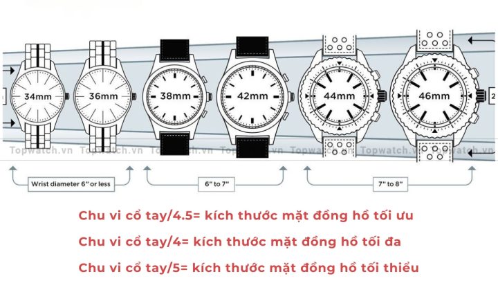Kích Thước Đồng Hồ Đeo Tay: Hướng Dẫn Toàn Diện Để Lựa Chọn Hoàn Hảo Cho Mọi Cổ Tay