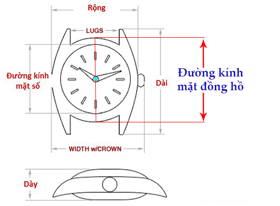Hướng Dẫn Chi Tiết: Đường Kính Đồng Hồ Tính Như Thế Nào Để Chọn Đúng Size Tay?