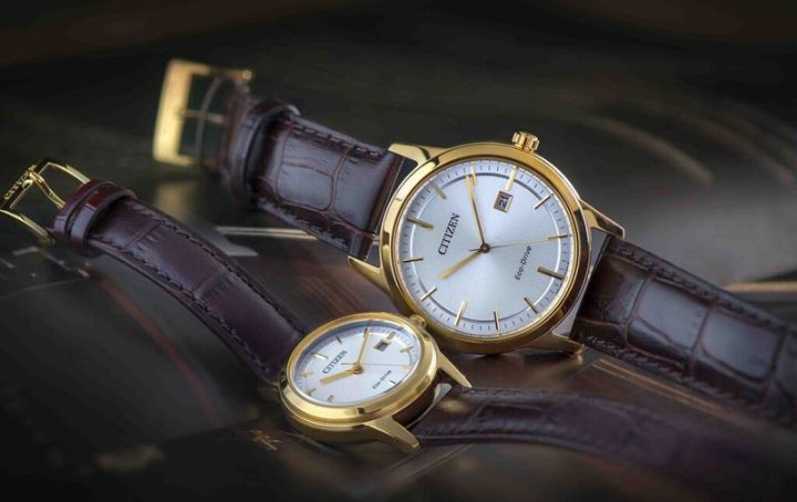 Đồng Hồ Citizen Sapphire GN 4W S: Giải Mã Mã Hiệu & Hướng Dẫn Chi Tiết Từ A-Z