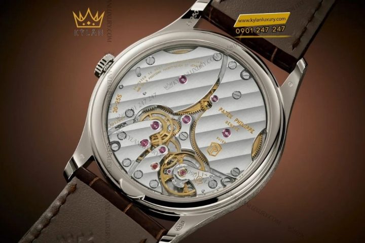 Đồng Hồ Franck Muller Geneve Platinum Rotor: Tuyên Ngôn Đẳng Cấp Thượng Lưu