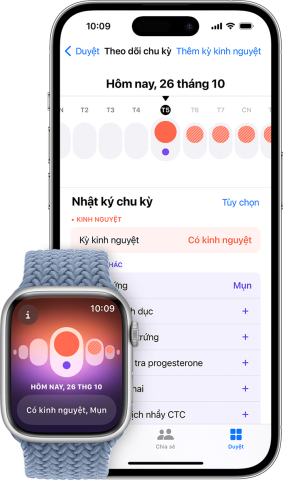 Ứng dụng Check Code Đồng Hồ: Hướng Dẫn Sử Dụng và Những Giới Hạn Cần Biết