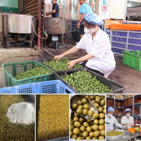 Nguồn Sỉ Đồng Hồ Tại Hà Nội: Hướng Dẫn Chi Tiết Để Kinh Doanh Hiệu Quả