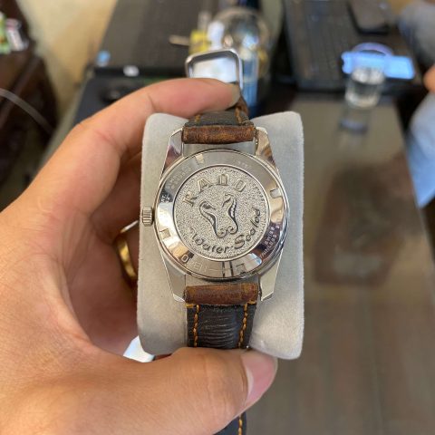 Đồng hồ Rado 2 Cá Ngựa: Biểu Tượng Vượt Thời Gian Của Thụy Sĩ